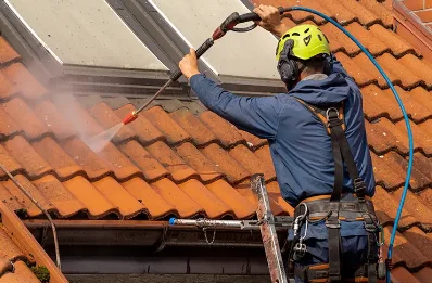 Démoussage et hydrofuge de toiture à Blan